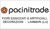 Pacinitrade srl - Logo carosello